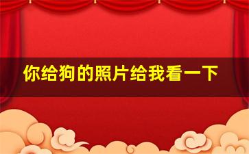 你给狗的照片给我看一下