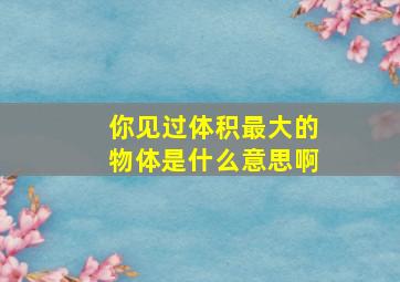 你见过体积最大的物体是什么意思啊