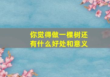 你觉得做一棵树还有什么好处和意义