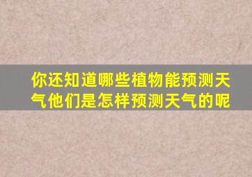 你还知道哪些植物能预测天气他们是怎样预测天气的呢