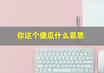 你这个傻瓜什么意思