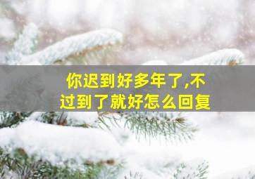 你迟到好多年了,不过到了就好怎么回复