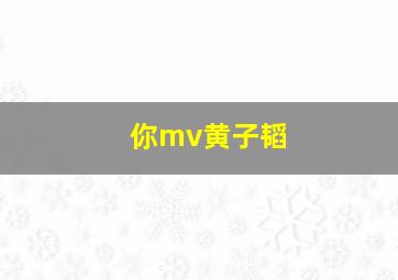 你mv黄子韬