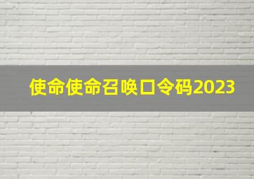 使命使命召唤口令码2023