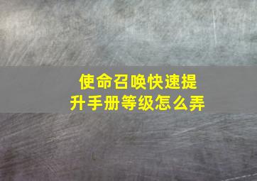 使命召唤快速提升手册等级怎么弄