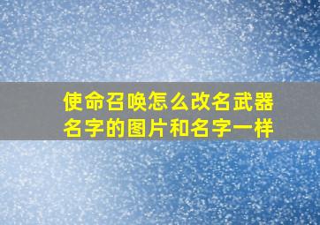 使命召唤怎么改名武器名字的图片和名字一样