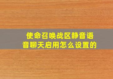 使命召唤战区静音语音聊天启用怎么设置的