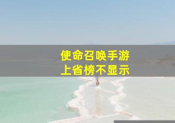 使命召唤手游上省榜不显示