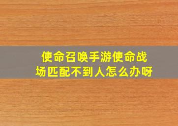 使命召唤手游使命战场匹配不到人怎么办呀