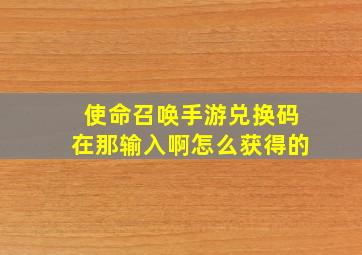 使命召唤手游兑换码在那输入啊怎么获得的