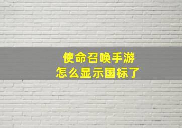 使命召唤手游怎么显示国标了