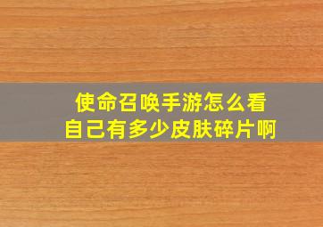 使命召唤手游怎么看自己有多少皮肤碎片啊