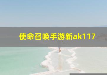 使命召唤手游新ak117