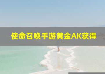 使命召唤手游黄金AK获得