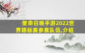 使命召唤手游2022世界锦标赛参赛队伍,介绍