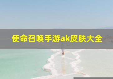 使命召唤手游ak皮肤大全