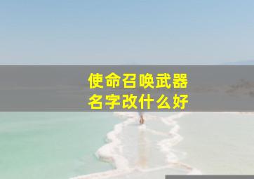 使命召唤武器名字改什么好