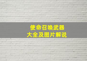 使命召唤武器大全及图片解说