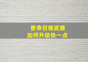 使命召唤武器如何升级快一点