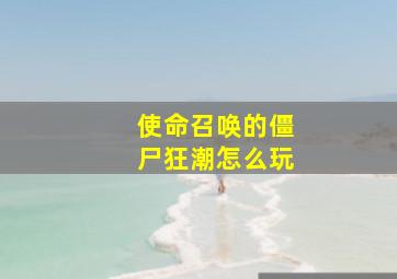 使命召唤的僵尸狂潮怎么玩