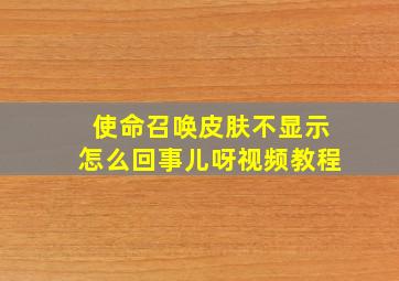 使命召唤皮肤不显示怎么回事儿呀视频教程