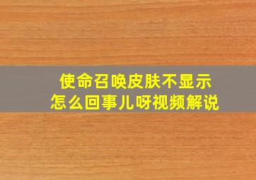 使命召唤皮肤不显示怎么回事儿呀视频解说