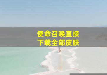 使命召唤直接下载全部皮肤