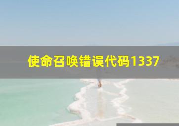 使命召唤错误代码1337