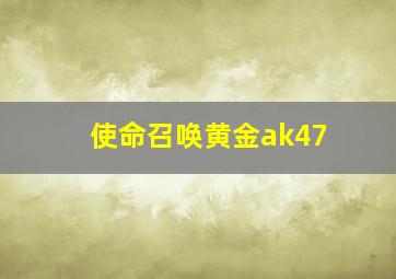 使命召唤黄金ak47