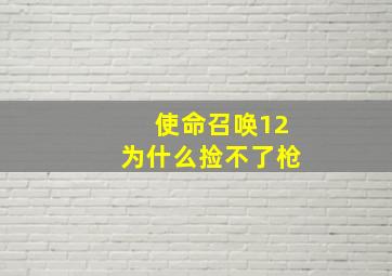 使命召唤12为什么捡不了枪