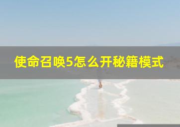 使命召唤5怎么开秘籍模式