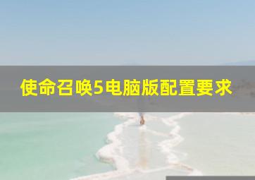 使命召唤5电脑版配置要求