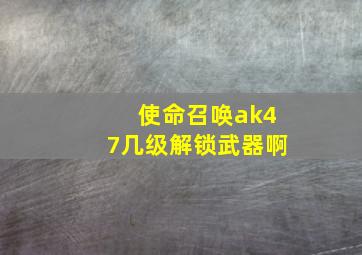 使命召唤ak47几级解锁武器啊