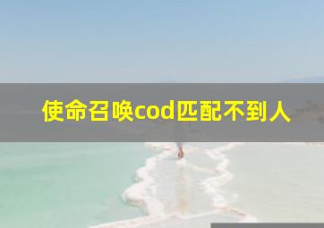 使命召唤cod匹配不到人