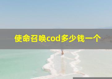 使命召唤cod多少钱一个