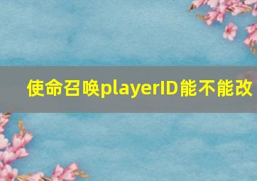 使命召唤playerID能不能改