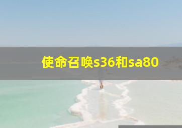 使命召唤s36和sa80