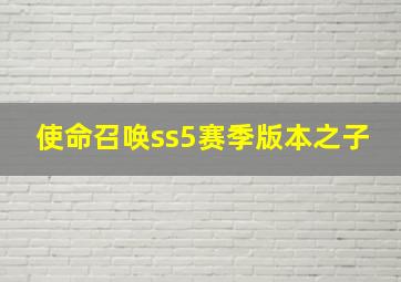 使命召唤ss5赛季版本之子