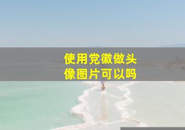 使用党徽做头像图片可以吗