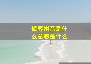 侮辱拼音是什么意思是什么