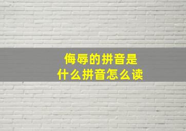 侮辱的拼音是什么拼音怎么读