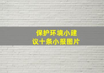 保护环境小建议十条小报图片