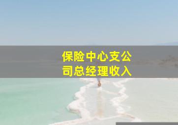 保险中心支公司总经理收入