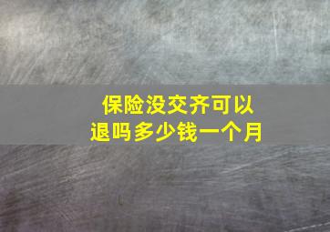 保险没交齐可以退吗多少钱一个月