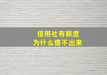 信用社有额度为什么借不出来