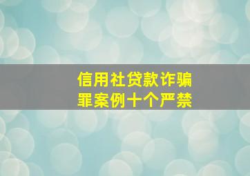 信用社贷款诈骗罪案例十个严禁