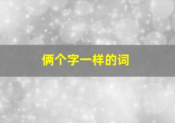 俩个字一样的词