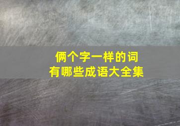 俩个字一样的词有哪些成语大全集