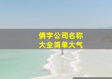 俩字公司名称大全简单大气