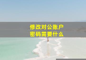 修改对公账户密码需要什么